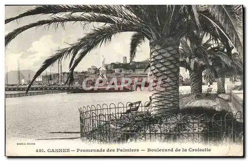 Cannes Ansichtskarte AK Promenades des palmiers Boulevard de la croisette