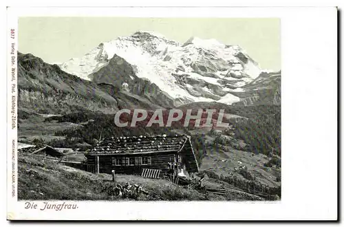 Suisse Cartes postales Die Jungfrau