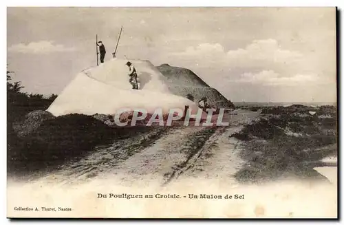 Cartes postales Du Pouliguen au CRoisic Une maison de sel