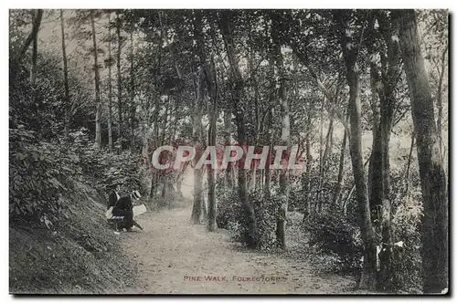 Grande Bretagne Great Britain Cartes postales Pine Walk Folkestone