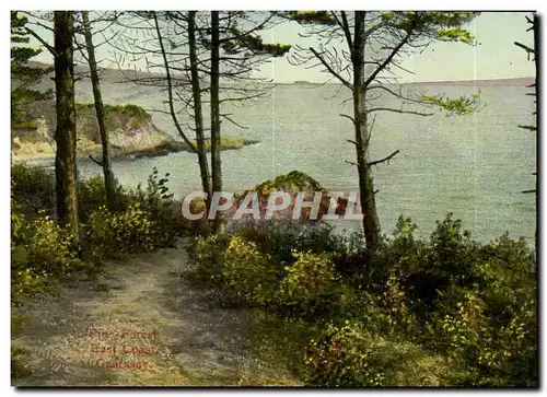 Angleterre - England - Guernsey - Pine Forest East Coast - Ansichtskarte AK