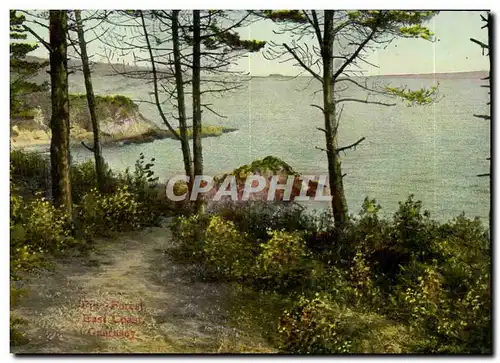 Angleterre - England - Guernsey - Pine Forest East Coast - Cartes postales