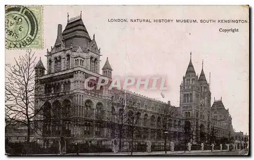 Angleterre - England - London - Londres - Natural History Museum - Ansichtskarte AK