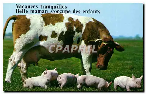 Cartes postales moderne Carte musicale Vacances tranquilles Belle maman s&#39occupe de ses enfants (vache cochons pigs c