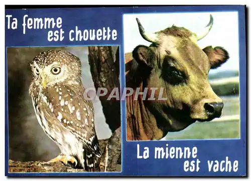 Moderne Karte TA femme est chouette La mienne est vache (humour)