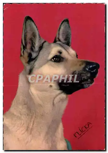 Cartes postales moderne Fantaisie Chien Berger allemand (dog)