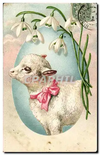 Cartes postales Fantaisie Fantasy Mouton Sheep