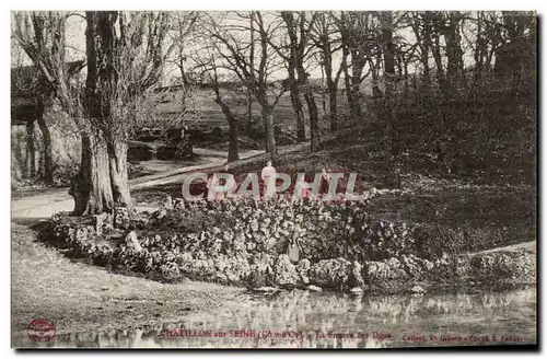 Chatillon sur Seine Cartes postales La sources des ducs