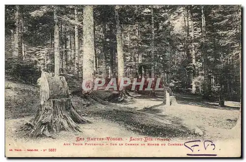 Les Hautes Vosages - Saint Pie - Aux Trois Fauteuils Sur le Chemin de Ronde du Cambert - Cartes postales