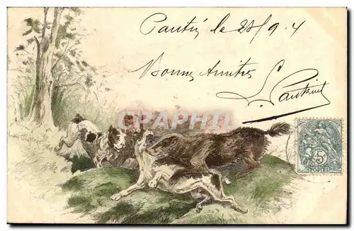 Animaux - Chien - Dogs - Playing Hunting Dogs - Ansichtskarte AK