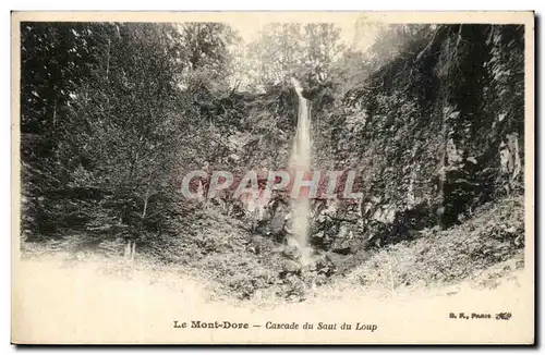 Le Mont Dore Ansichtskarte AK Cascade du saut du loup (wolf)