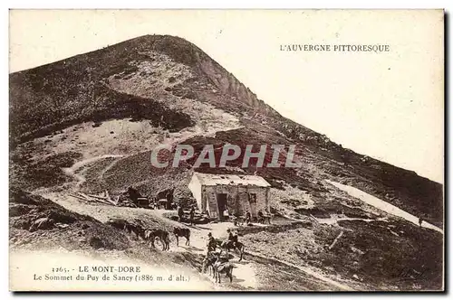 Le mont Dore Ansichtskarte AK Le sommet du Puy de SAncy Auvergne (ane donkey mule)