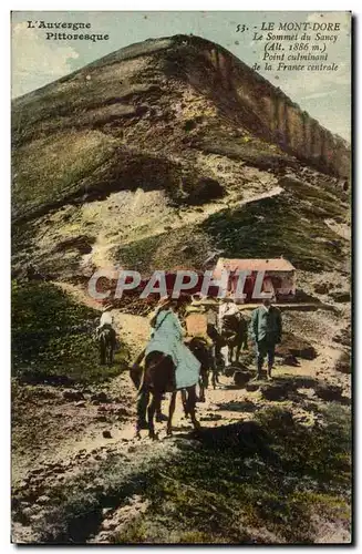 Le mont Dore Ansichtskarte AK Auvergne Sommet du Sancy (ane donkey mule)