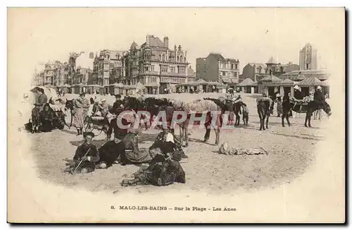 Malo les Bains Ansichtskarte AK Sur la plage Les anes (ane donkey)