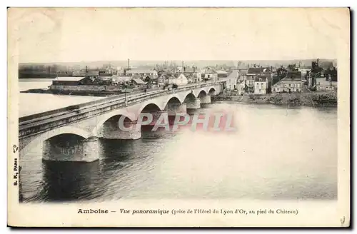 Amboise - Vue Panoramique - prise de l&#39Hotel de Lyon d&#39or - Cartes postales