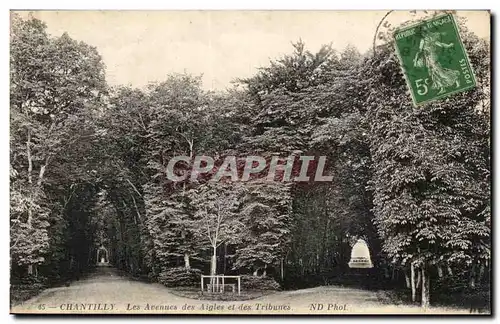 Chantilly Cartes postales Les avenues des aigles et des tribunes