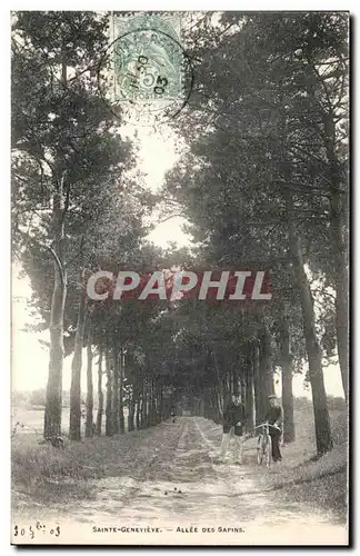 Sainte Genevieve Cartes postales Allee des sapins