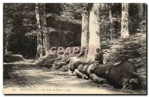 Compiegne Ansichtskarte AK Un coin de foret