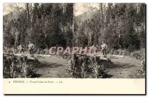 Vues stereoscopiques Tonkin Cartes postales Travail dans la foret (hevea) Indochine Vietnam