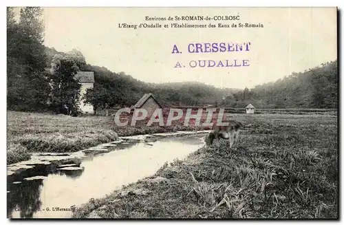 Environs de St Roman de Colbosc Cartes postales L'etang d'Oudalle et l'etablissement des eaux de St Rom