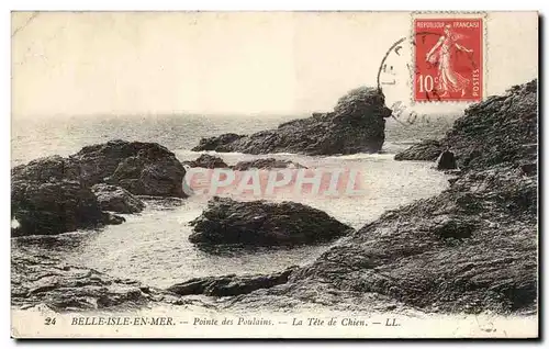 Belle isle en Mer Cartes postales Pointe des Poulains La tete de chien