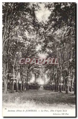 Ancienne abbaye de Jumieges Cartes postales Le parc allee D&#39agnes Sorel