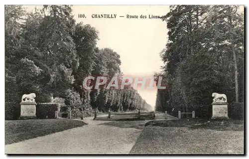 Ansichtskarte AK Chateau de Chantilly Musee Route des lions