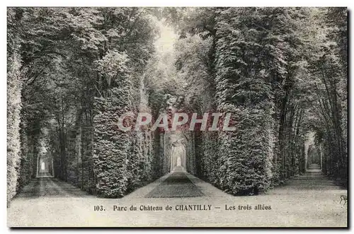 Cartes postales Chateau de Chantilly Les trois allees