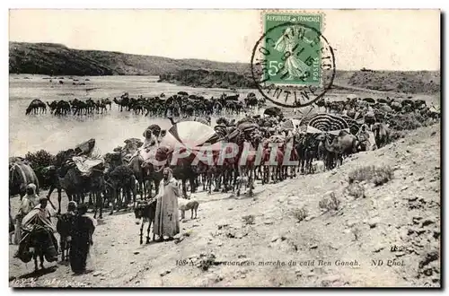 Algerie Cartes postales CAravane en marche du caid Ben Ganah