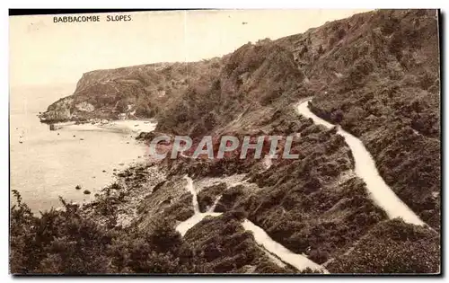 Grande Bretagne Great BRitain Cartes postales Barbacombe Slopes