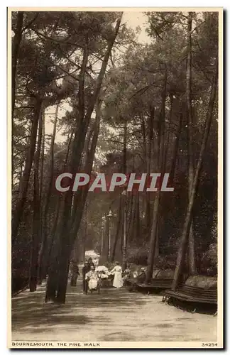 Grande Bretagne Cartes postales Bournemouth The pine walk