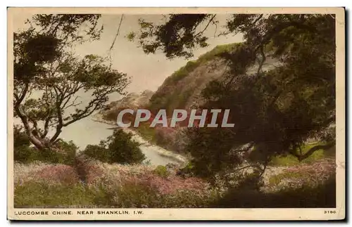 Grande Bretagne Cartes postales Luccombe Chone Near Shanklin