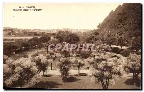 Great Britain Cartes postales Palm Blossom princess Gardens Torquay