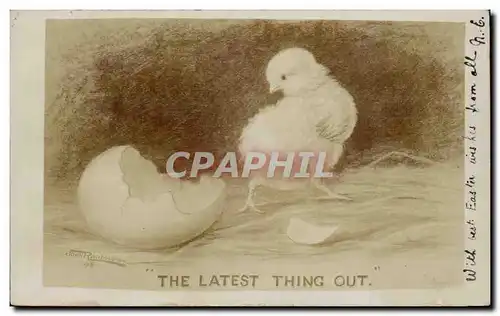 Grande Bretagne Great Britain Cartes postales The latest thing out (poussin chicken)