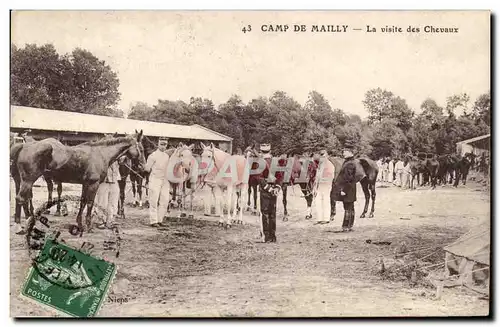 Camp de Mailly - La visite des Chevaux - Cartes postales