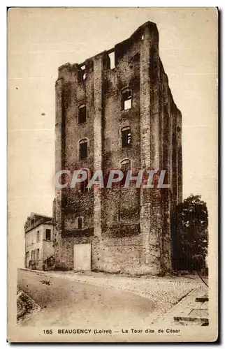 Beaugency Cartes postales la tour dite de Cesar