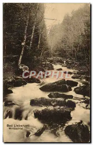 Cartes postales Bad Liebenzell Monbachtal