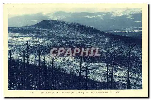 Cartes postales Environs de la Schlucht Vue d&#39ensemble du Linge