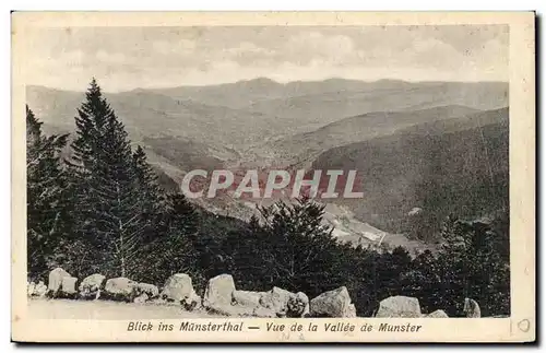 Blick ins Munsterthal Cartes postales Vue de la vallee de munster