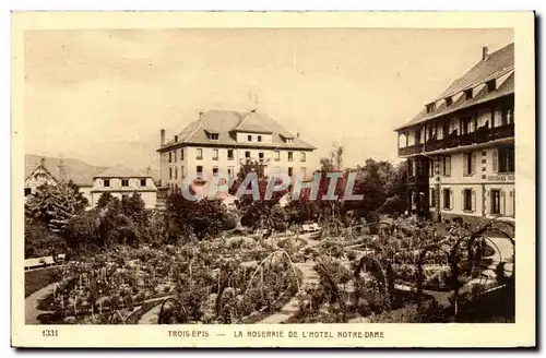 TRois Epis Cartes postales La roseraie de l&#39hotel Notre Dame