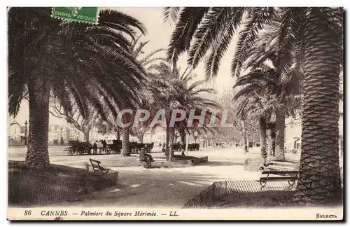 Cannes Cartes postales Palmiers et square MErimee