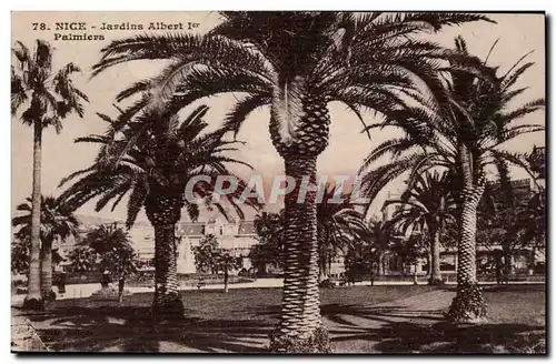 Nice - Jardin Albert - palmiers - Cartes postales