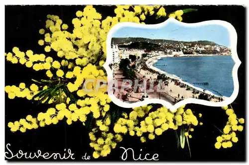 Nice Cartes postales Souvenir