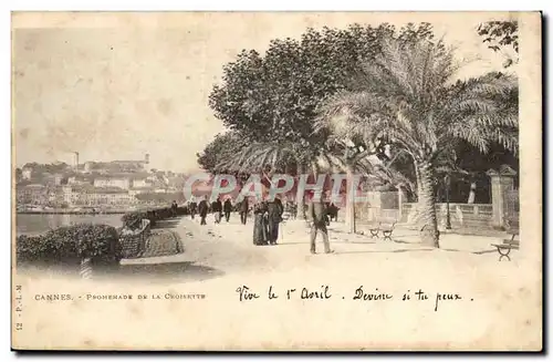 Cannes Cartes postales Promenade de la croisette