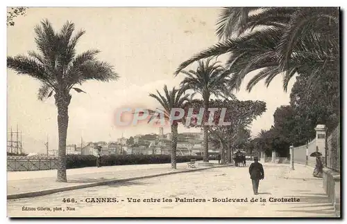 Cannes Ansichtskarte AK Vue entre les palmiers Boulevard de la Croisette