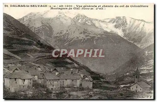 Dalmas Selvage Cartes postales Vue generale et chemin du col de Colombiere Montagnes de Clai