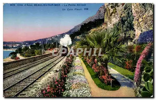 Beaulieu sur Mer Cartes postales le petite Afrique Un coin fleuri (train)