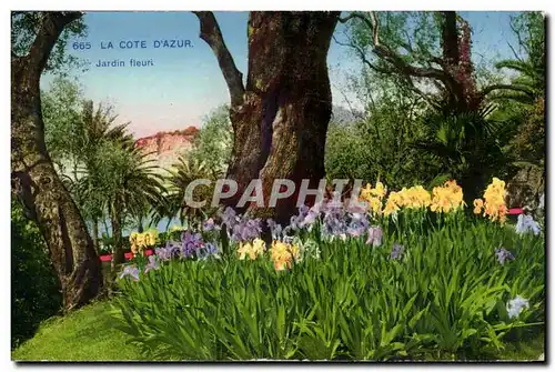 Cote d&#39azur Cartes postales Jardin fleuri