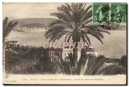 Nice Cartes postales Vue entre les palmiers prise de Sainte Helene