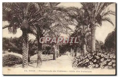 Nice Cartes postales Promenade du chateau Allee des Palmiers